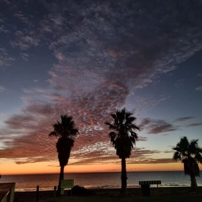 Beautiful sunset with palm trees against cloudy sky at Smoky Bay Caravan Park
