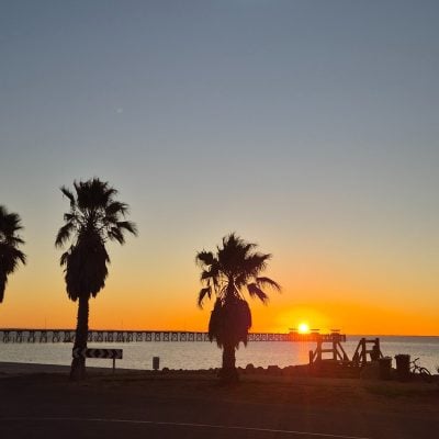Sunset over water with silhouetted palm trees.