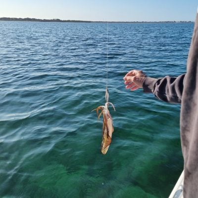 Person holding a squid above a boat deck with water visible in the background